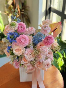 春日花信·花盒