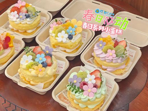 春日蓝莓莓蛋糕 商品图0