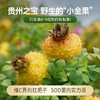 有机刺梨汁（50ml*7袋） 商品缩略图3