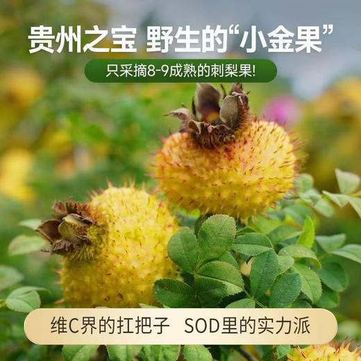 有机刺梨汁（50ml*7袋） 商品图3