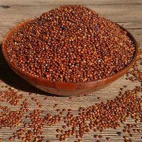 有机红藜麦1000g