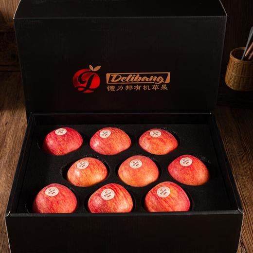 力邦6号红苹果90#（9枚装） 商品图0