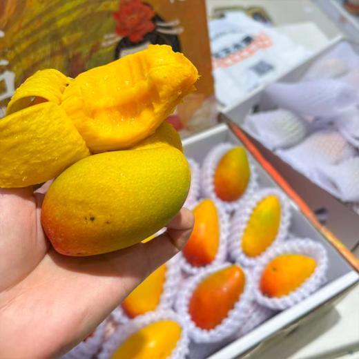 海南空运贵妃芒 芒果 甜 芒果味浓郁 商品图4