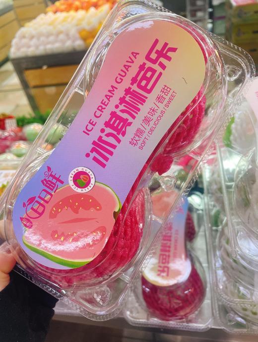 红心芭乐一盒 商品图0