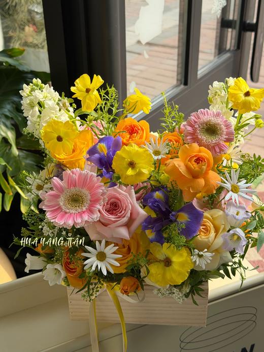 春日的花园·花盒 商品图1