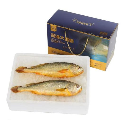 南麂海派冰鲜有机大黄鱼（1.5-1.7kg*2） 商品图0