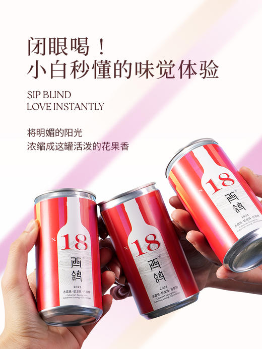 190ml西鸽N18干红葡萄酒 商品图4