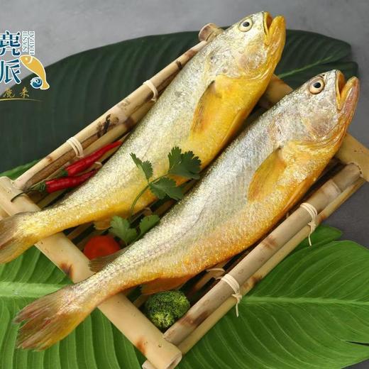 南麂海派冰鲜有机大黄鱼（1.5-1.7kg*2） 商品图1