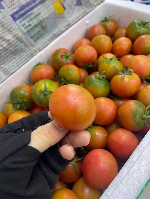 草莓柿子一箱 商品图1