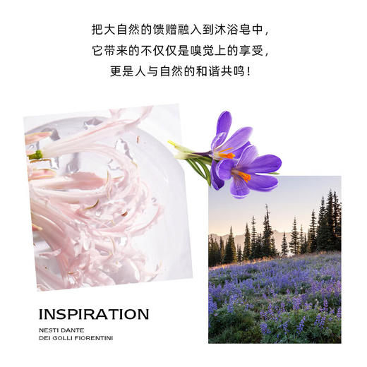 意大利进口内斯蒂丹特山麓花韵系列沐浴手工皂250g 商品图1