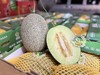 青帝蜜瓜1.5kg+ 商品缩略图0