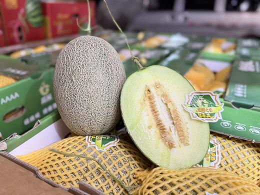 青帝蜜瓜1.5kg+ 商品图0