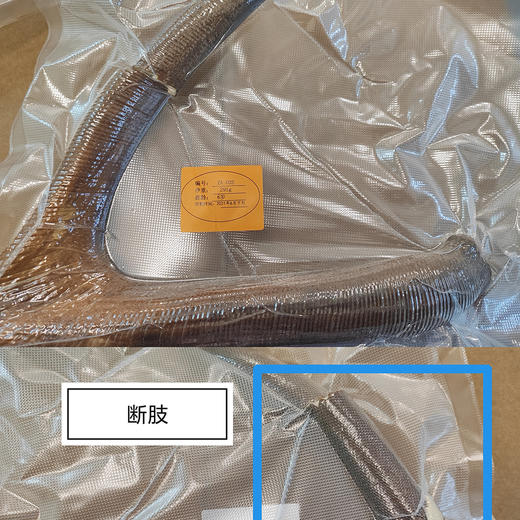 【特价促】梅花鹿头茬二杠小枝鹿茸 特价残鹿茸 存在切断枝、破皮、角上长新枝包或花皮等 15元/克 售出不退换【可免费提供打粉服务】 商品图3