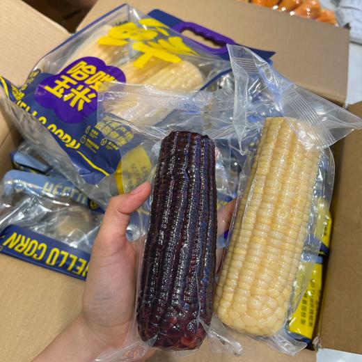 哈喽玉米 黑白双糯玉米 有机玉米更健康 商品图0