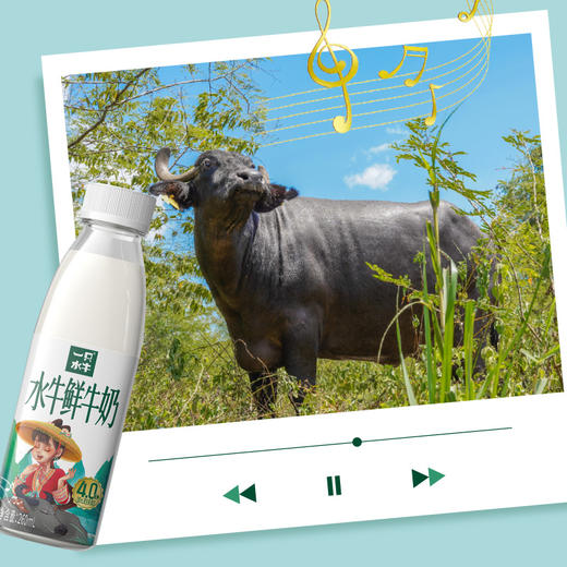 皇氏乳业皇氏水牛鲜牛奶260ml×12瓶 商品图5