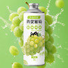 青大师3.3°后海的猫青提风味精酿啤酒1L（A7-02-01） 商品缩略图0
