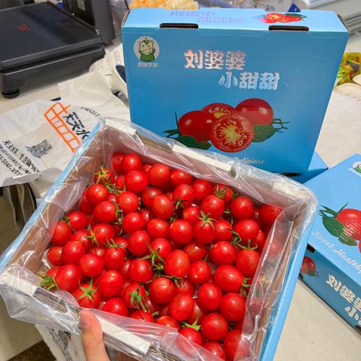 刘婆婆小甜甜千禧 小番茄 圣女果 好吃的甜番茄 商品图0