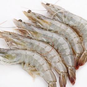 20/30带头生虾（1.8kg)