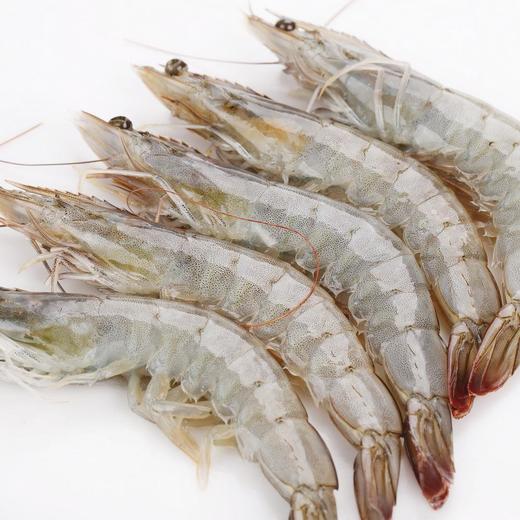 20/30带头生虾（1.8kg) 商品图0