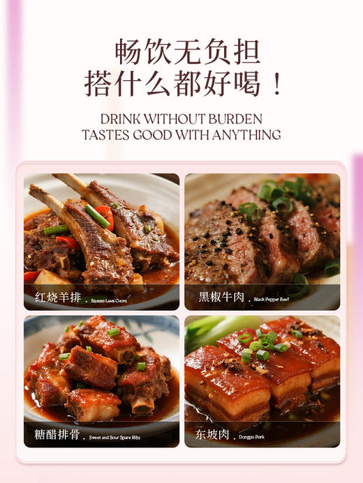 190ml西鸽N18干红葡萄酒 商品图5