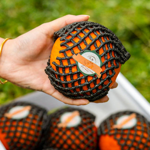 四川眉山明日见柑橘 商品图5