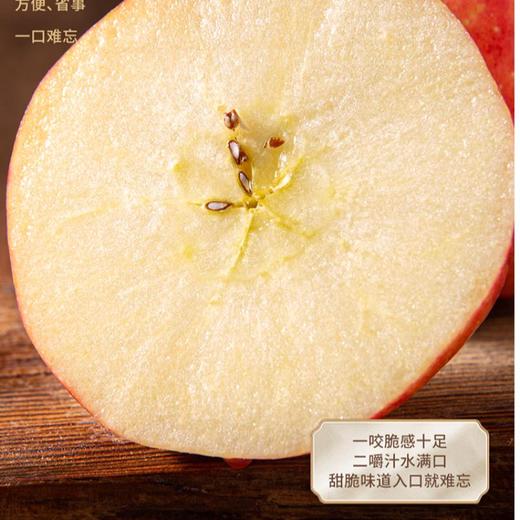 力邦6号红苹果90#（9枚装） 商品图1