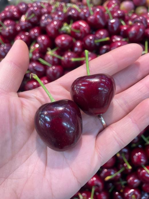 美早大樱桃一箱 商品图1