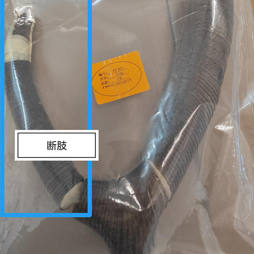 【特价促】梅花鹿头茬二杠小枝鹿茸 特价残鹿茸 存在切断枝、破皮、角上长新枝包或花皮等 15元/克 售出不退换【可免费提供打粉服务】 商品图4