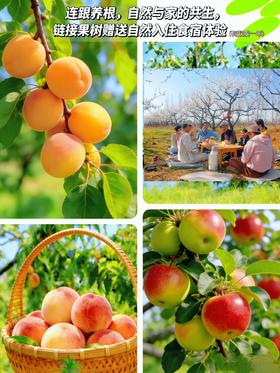 2026年仙境【连根养根】果树认养送自然学苑线下体验食宿