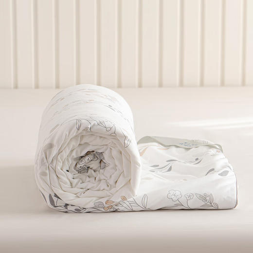 【多样屋专柜】杉杉舒雅纯蚕丝被200*230cm（仅被子） 商品图2