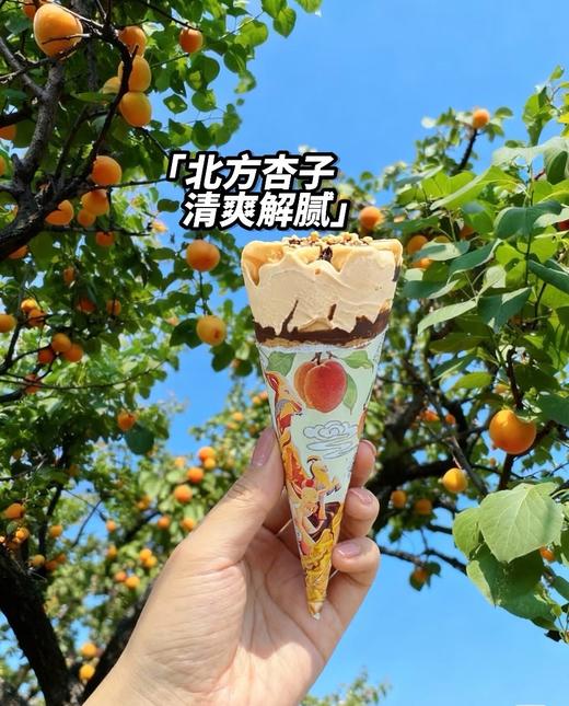 【新品尝鲜】五羊牌甜筒山野红杏杏子味雪糕73G 商品图1