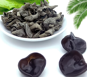 椴木春耳（半斤）