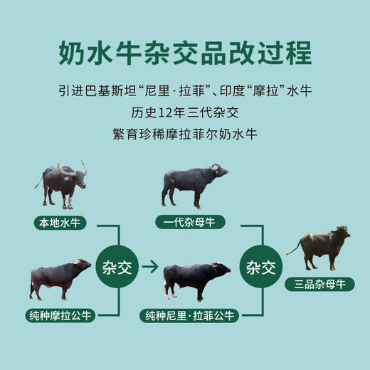 皇氏乳业皇氏水牛鲜牛奶260ml×12瓶 商品图3