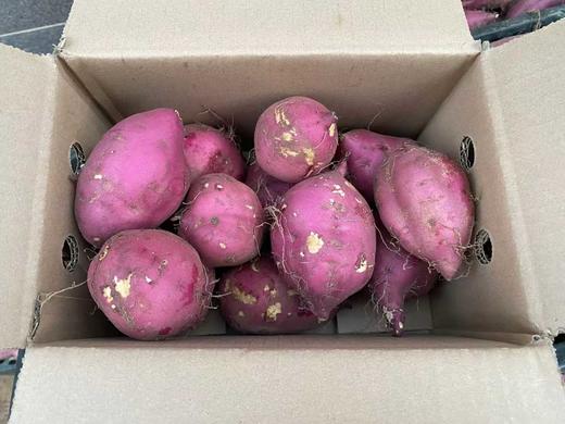 海南桥头圆果地瓜 商品图1