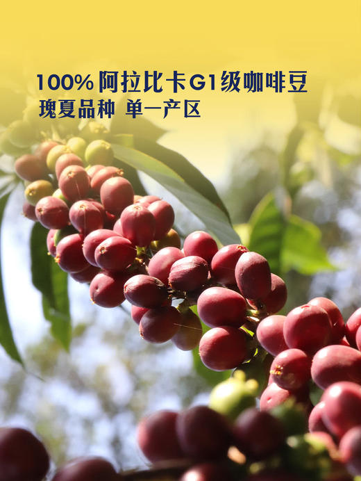【自提】M 瑰夏挂耳咖啡 300g(10g*30) 商品图2