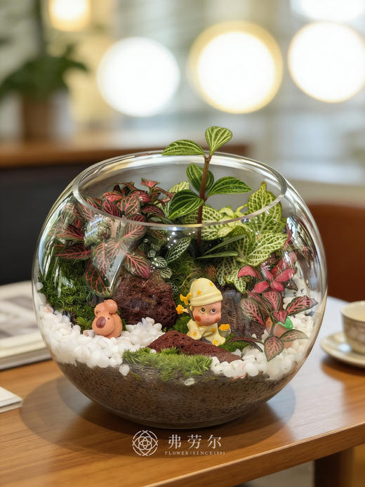 圆形微景观 商品图0