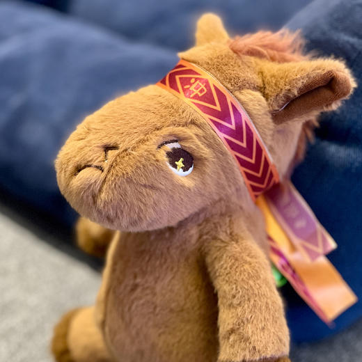 青海·治多 系列玩偶（毛绒） 商品图2