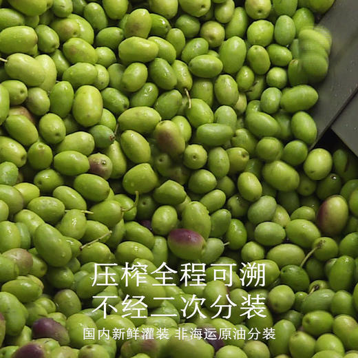 南食召 有机特级初榨橄榄油 商品图4