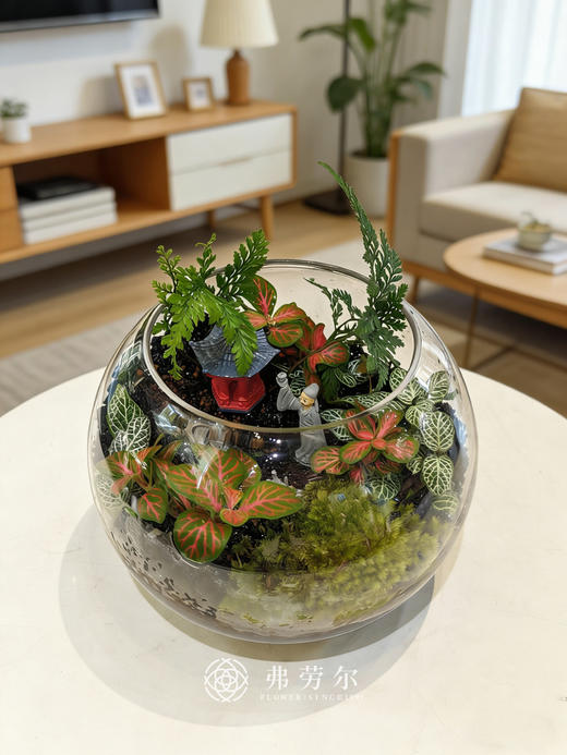 圆形微景观小 商品图3