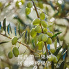 南食召 有机特级初榨橄榄油 商品缩略图3