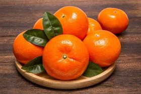 【生鲜预定】沃柑1kg