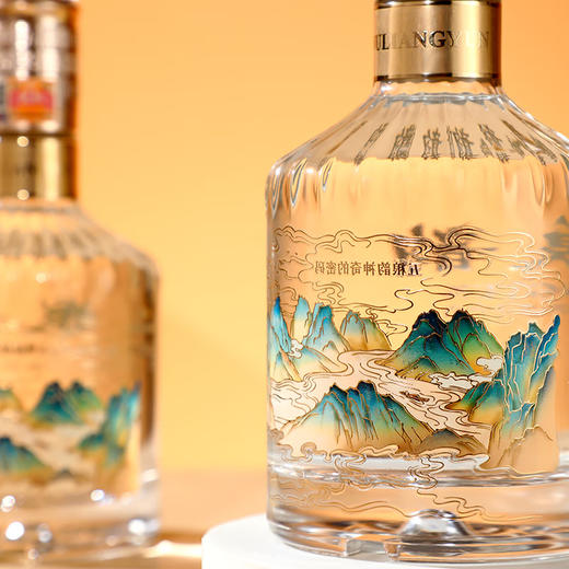 52度五粮韵拓展系列酒水晶韵（韵拾）500ml 单瓶 商品图2