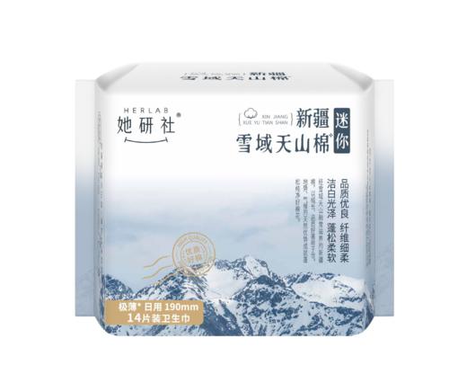 她研社雪域新疆天山棉 190 迷你（Y） 商品图0