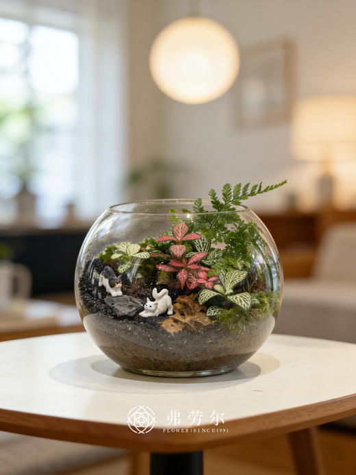 圆形微景观 商品图0