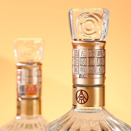 52度五粮韵拓展系列酒水晶韵（韵拾）500ml 单瓶 商品图1