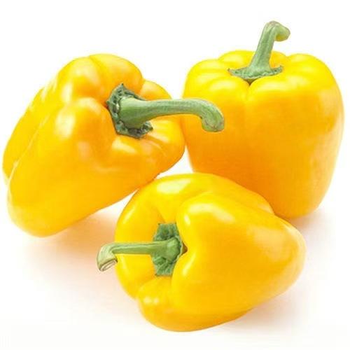 【生鲜预定】黄彩椒 商品图1