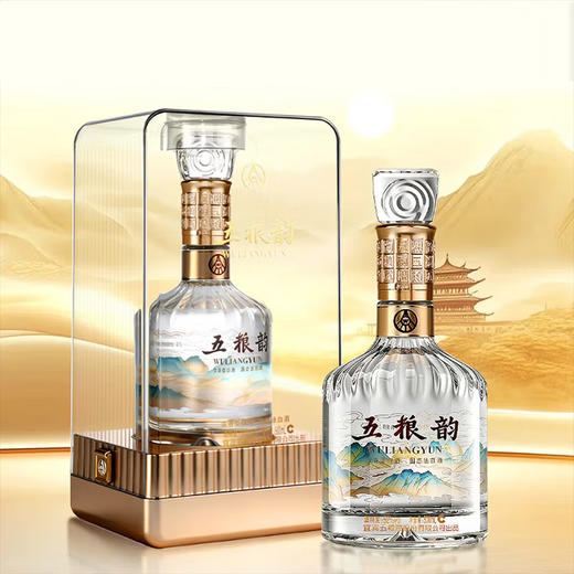 52度五粮韵拓展系列酒水晶韵（韵拾）500ml 单瓶 商品图0