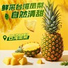 溜溜梅台湾凤梨啵啵梅80g 商品缩略图4
