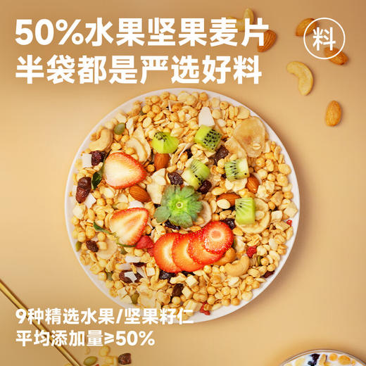 欧扎克水果坚果混合麦片100g 商品图3