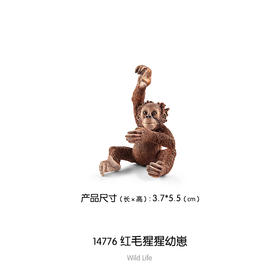 思乐 红毛猩猩幼崽SCHC14776